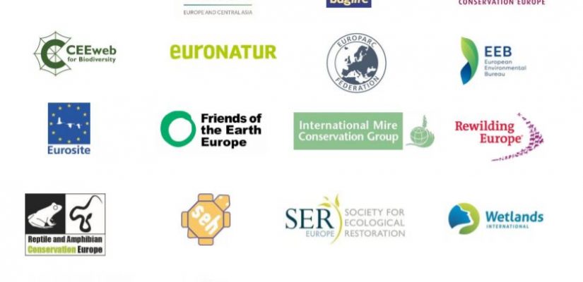 The Nature Protection Commitments In The 2030 EU Biodiversity Strategy ...