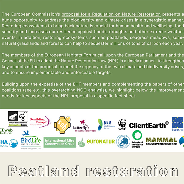 Peatland restoration